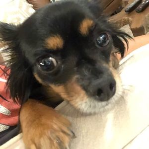 Meet your Posher, John